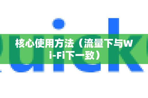核心使用方法（流量下与Wi-Fi下一致）-第1张图片-QuickQ官方客户端下载-多设备同时在线